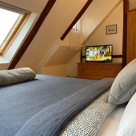 Oaza De Relaxare * בראשוב