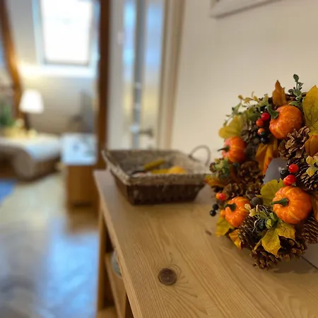 Oaza De Relaxare * בראשוב