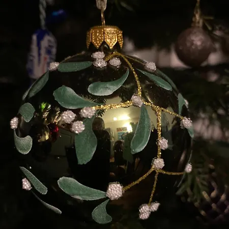 Oaza De Relaxare בראשוב