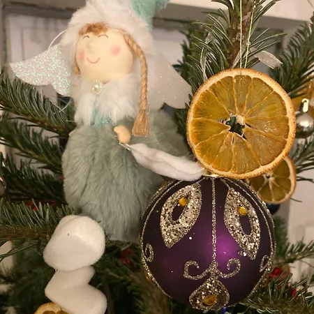 Oaza De Relaxare * בראשוב