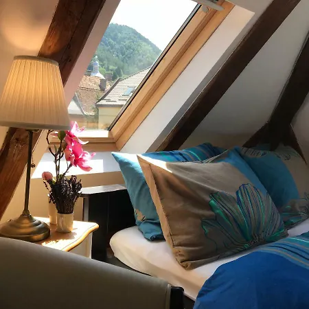 Apartman Oaza De Relaxare