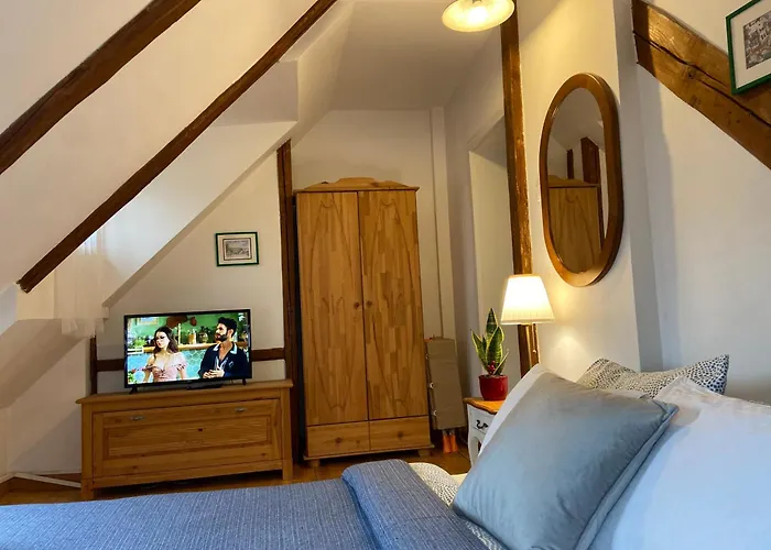 Apartment Oaza De Relaxare Brasov