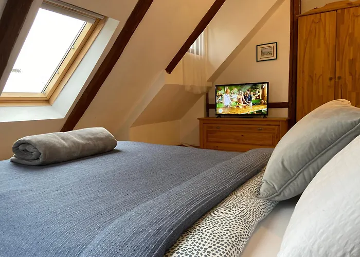 Oaza De Relaxare * 브라쇼브