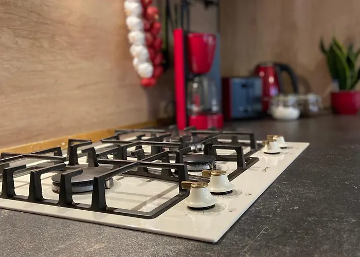 Oaza De Relaxare 브라쇼브