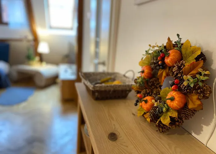 Oaza De Relaxare * 브라쇼브