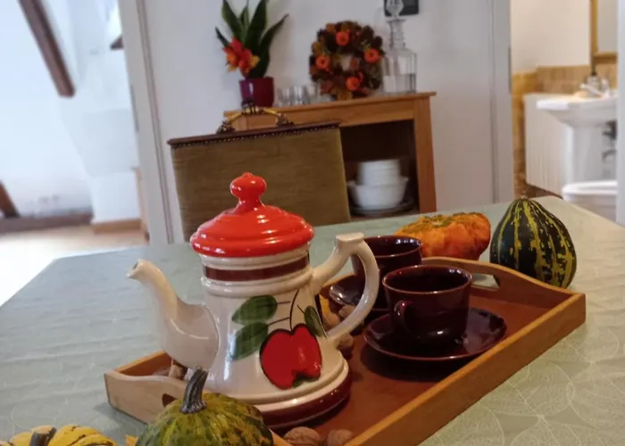 Oaza De Relaxare 브라쇼브