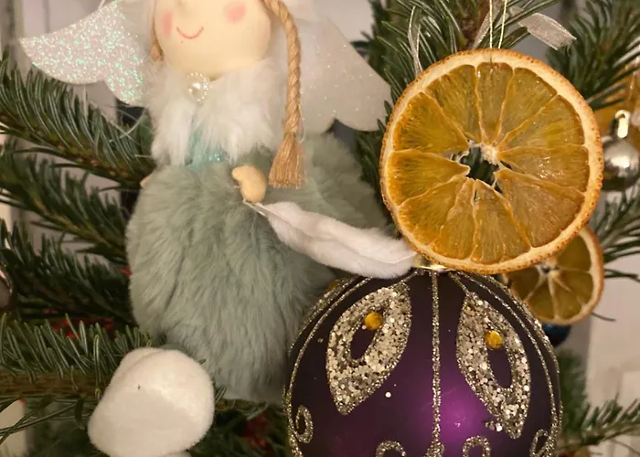 Oaza De Relaxare * 브라쇼브