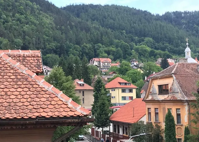 아파트 Oaza De Relaxare 브라쇼브