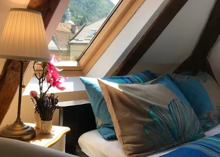 Apartment Oaza De Relaxare